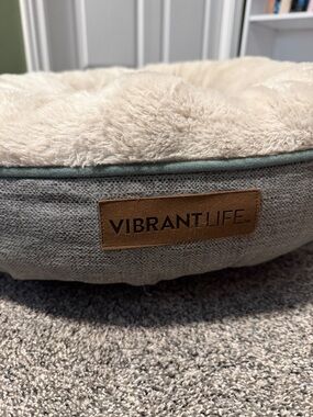 Green and Cream cat bed